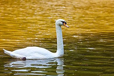 策略挖矿游戏《钻芯》面向PC公布 Q4推出